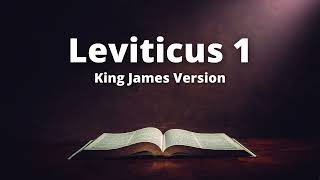 Leviticus 1  King James Version Audio Bible [upl. by Fleurette972]