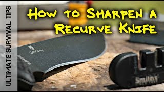 HOW to SHARPEN a RECURVE KNIFE BLADE  LIKE a BOSS [upl. by Niar]