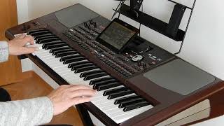 Classic Schlager Komposition gespielt auf dem Korg Pa 1000 Musikant [upl. by Danila]