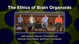 The Ethics of Brain Organoids with Alysson Muotri Christof Koch Patricia Churchland Evan Thompson [upl. by Newra]