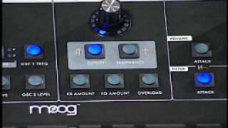 Moog Little Phatty Analog Synthesizer [upl. by Atokad]