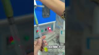 Serum creatinine test kidney function test dmlt labtechnologist medico labtechnician prayagraj [upl. by Trever244]