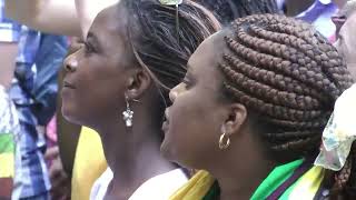 Oliver Mtukudzi  7  LIVE at Afrikafestival Hertme 2013 [upl. by Alleirbag]