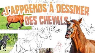 Japprends à dessiner des CHEVALS  S3  EP 2 [upl. by Anirbac]