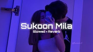 Sukoon Mila  Arijit Singh  Slowed amp Reverb  Mary Kom  Sukoon Mila Song Lofi Arijit Singh [upl. by Cyril]