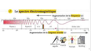 Le spectre électromagnétique [upl. by Raffo]