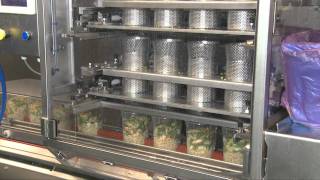 Tramper F360  filling system for stirfry products [upl. by Atika]