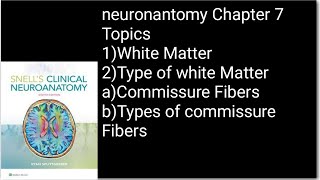 white Matter of Cerebrum part1types Of FibersCommissure and its types FibersNeuroanatomy [upl. by Jessey482]