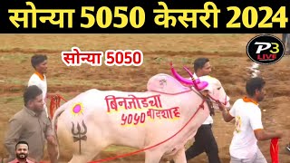 👑सोन्या5050 ची दमदार एन्ट्री👑 सोन्या 5050 केसरी2024🔥🔝sharyat bailgadasharyat bailgada viralvideo [upl. by Nannahs]