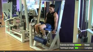 Top 5 des exercices de quadriceps [upl. by Krock]