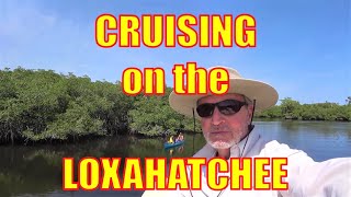 LEISURELY LOXAHATCHEE CRUISE TO TRAPPER NELSONS [upl. by Alhahs]