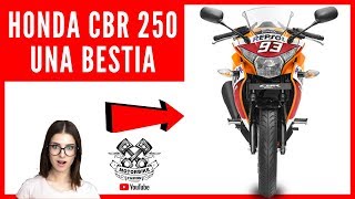 HONDA CBR 250 LO BUENO Y LO MALO REVIEW 😱 UNA BELLEZA [upl. by Ricard304]