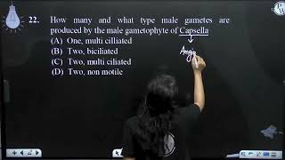 How many and what type male gametes are produced by the male gametophyte of Capsella [upl. by Gillespie]