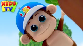 Animal Habitat Song  Junior Squad  Nursery Rhymes for Babies  Kids TV [upl. by Alihet]