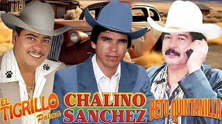 Chalino Sanchez Beto Quintanilla y Tigrillo Palma Mix Para Pistear  Puros Corridos Viejitos [upl. by Nytsud]