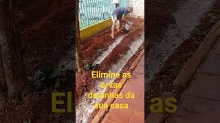 Elimine as ervas daninhas da sua casa [upl. by Aymik]