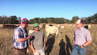 Greg and Isaac get the update on George Hellers newly purchased grass farm [upl. by Yleek49]