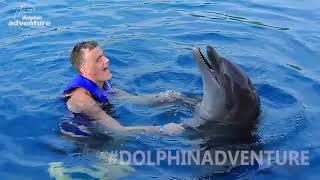 SWIMMING WITH DOLPHINS IN MEXICO DOLPHINADVENTURES [upl. by Sophey]