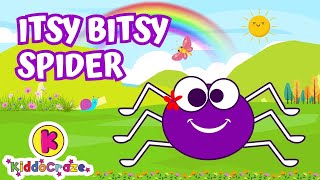 ITSY BITSY SPIDER  CoComelon Nursery Rhymes [upl. by Arlana]