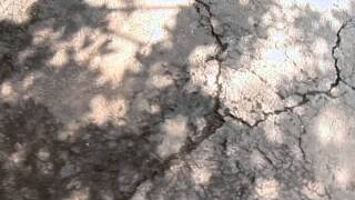 How to Resurface a Driveway [upl. by Esil223]