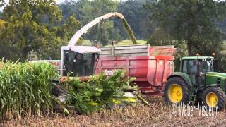 Ensilage de Sorgho fourrager avec une Ensileuse Claas Jaguar 890 [upl. by Leibman]