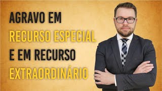 NOVO CPC  AGRAVO EM RECURSO ESPECIAL E EM RECURSO EXTRAORDINÁRIO [upl. by Pendleton]