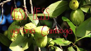 LESS LESS GARCINIA [upl. by Leisha]