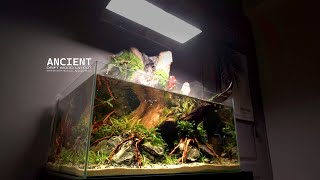 How To Do Aquatic Plants Waterfall Aquaterrarium l Make 4 Terrarium [upl. by Adyeren]