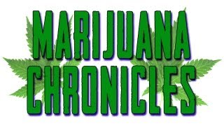 Marijuana Chronicles Ep1 Lighting up in class again  So stupid AskACapper [upl. by Anawt]