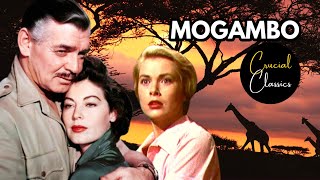 Mogambo 1953 Ava Gardner Clark Gable Grace Kelly full movie reaction [upl. by Ecirahc]