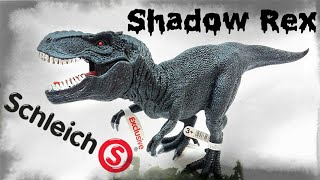 2021 Schleich quotShadow T Rexquot Tyrannosaurus Rex Review [upl. by Nylisoj252]