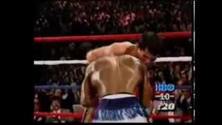 Julio Cesar Chavez Highlights [upl. by Hallette413]