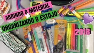 ABRINDO e ORGANIZANDO o MATERIAL 2018  Manuella Lanzarini [upl. by Llerrah]