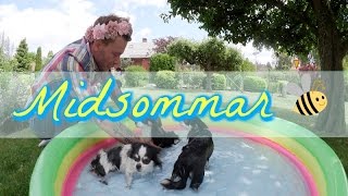 Vlogg  Midsommar [upl. by Minta]