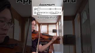 Ornaments Appoggiatura violin violinist violinmusic music violinst classicalmusic orchestra [upl. by Haimehen]