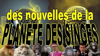 Pour Ainsi Dire  25  Des nouvelles de la planète des singes [upl. by Trellas]