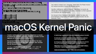 macOS Kernel Panic History [upl. by Lertram]