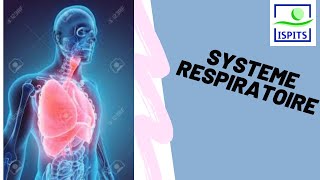 système respiratoire ISPITS [upl. by Badr]