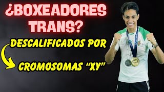 🟣 ¡POLÉMICA TRANS COMPETIRAN en BOXEO FEMENINO 2 BOXEADORES DESCALIFICADOS por CROMOSOMAS XY 🟣 [upl. by Ennayhs331]