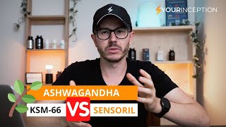 Ashwagandha  KSM66 VS Sensoril  Which is Better [upl. by Anerual]