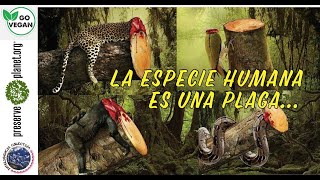 LA ESPECIE HUMANA ARRASA CON EL PLANETA Campaña global Clip1 [upl. by Tena176]