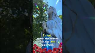 ✝️✝️Ce soir la Vierge Marie visitera ta maison catholique France prière jésus foi [upl. by Buckie88]