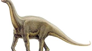 Alamosaurus  Enciclopedia sobre Dinosaurios [upl. by Meredithe]