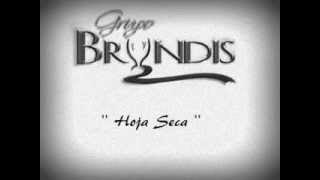 Grupo Bryndis  Hoja Seca [upl. by Adlig]