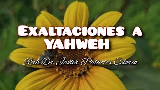 Exaltaciones a Yahweh  Roeh Dr Javier Palacios Celorio [upl. by Eilatam]