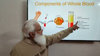 General functions of blood  Lecture No 1MuhammadYousafPhysiology [upl. by Tjader484]