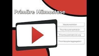 Primäre Hämostase [upl. by Accem]