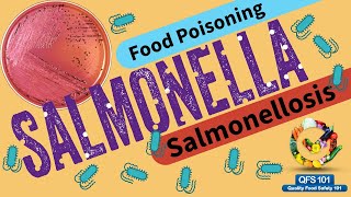 Salmonella Full Details  Symptoms Spread Controls [upl. by Converse829]