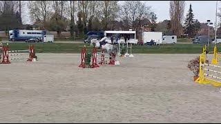 Cahil v Cornet Obolensky und Lucas Wenz  Platz 4 im MSpringen [upl. by Phillie]