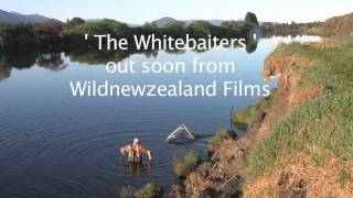 The Whitebaiters  Wildnewzealand Films [upl. by Jock]